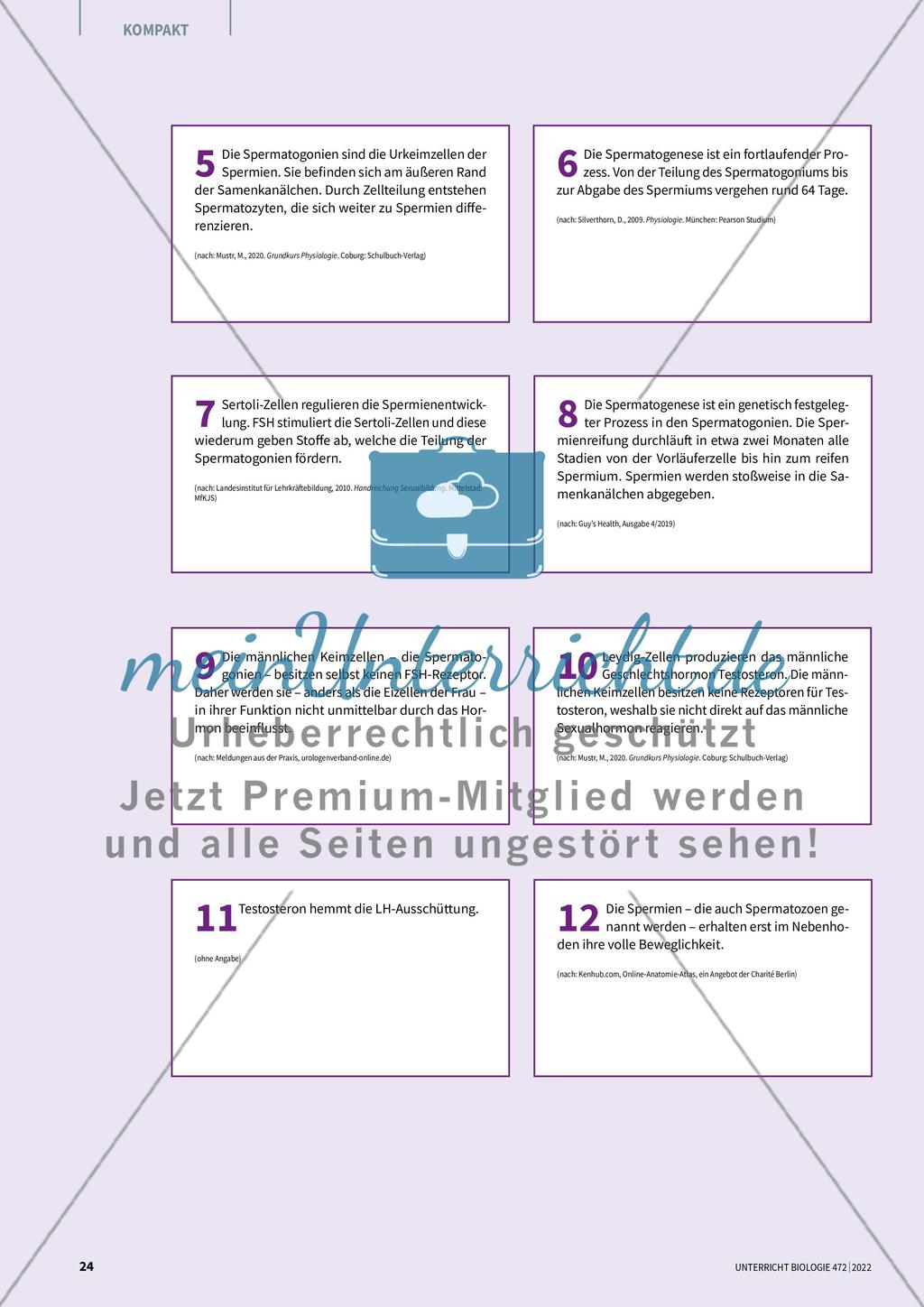 Mythengruppe 2: Samenstau und Co. Preview 3