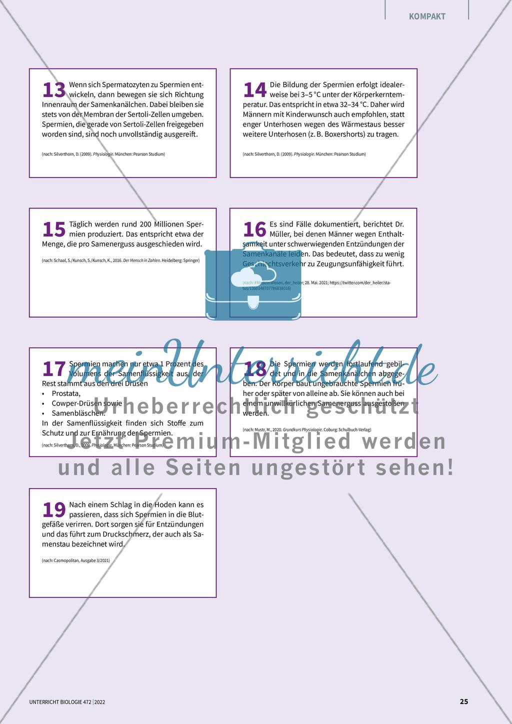 Mythengruppe 2: Samenstau und Co. Preview 4