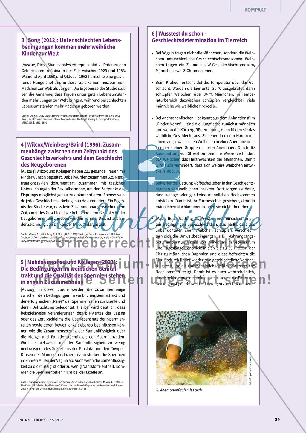 Mythengruppe 2: Samenstau und Co. Preview 8