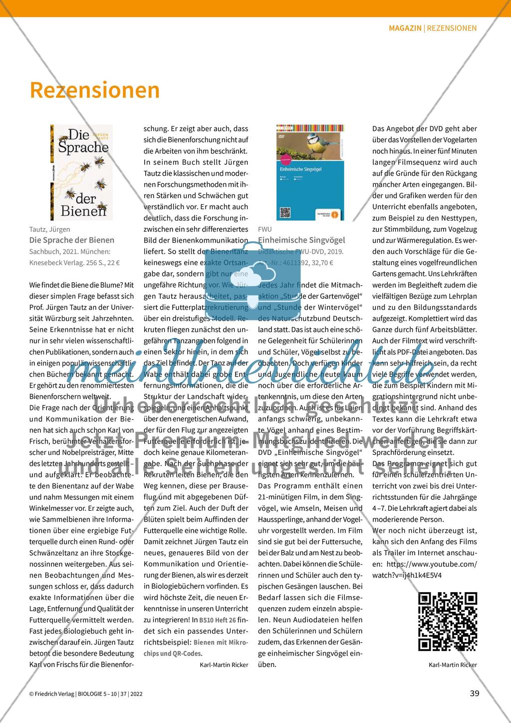Information Preview 10