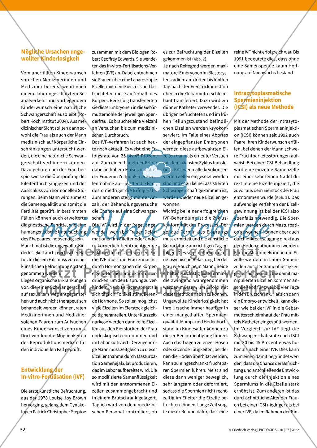 Information Preview 3