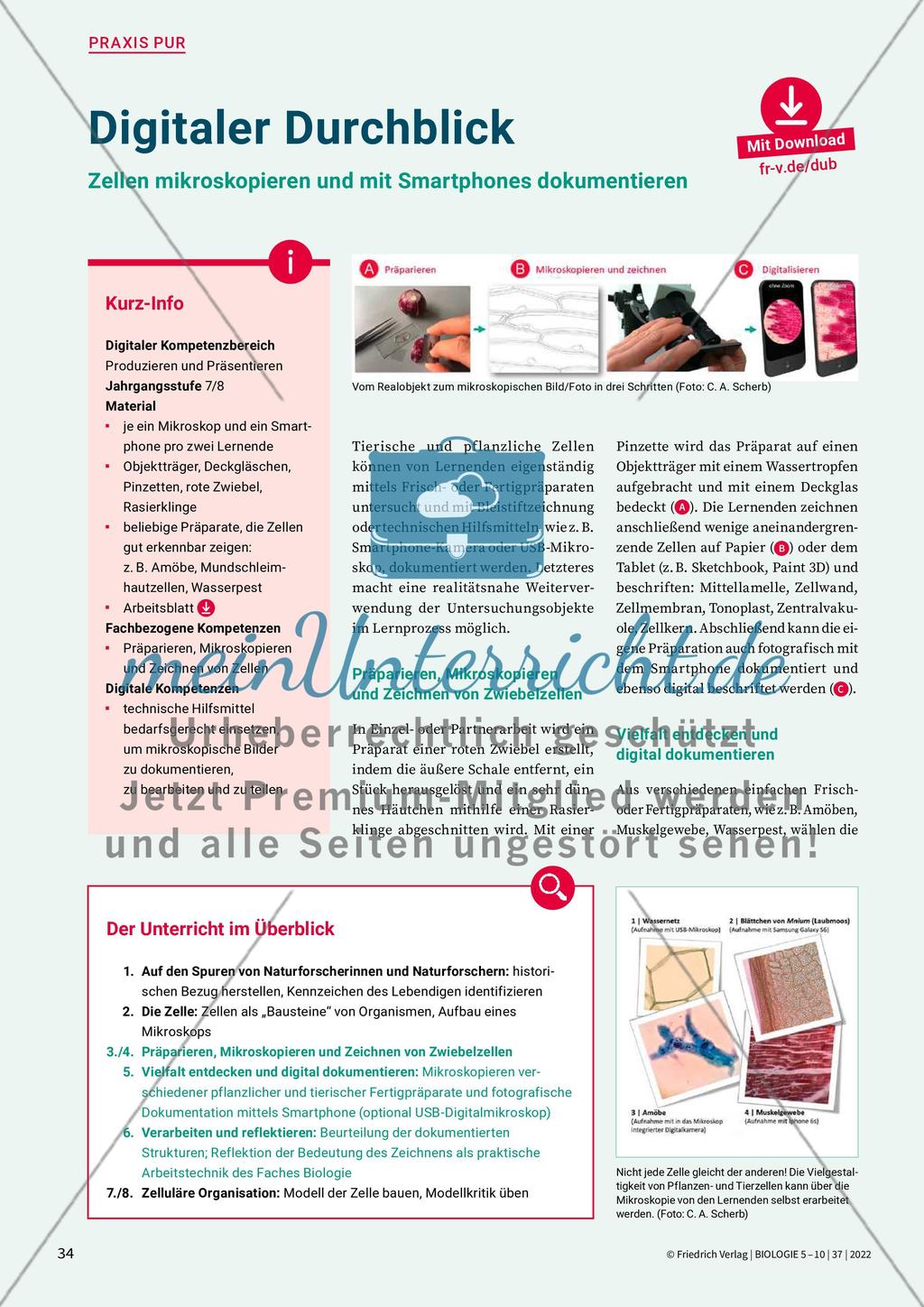 Information Preview 5