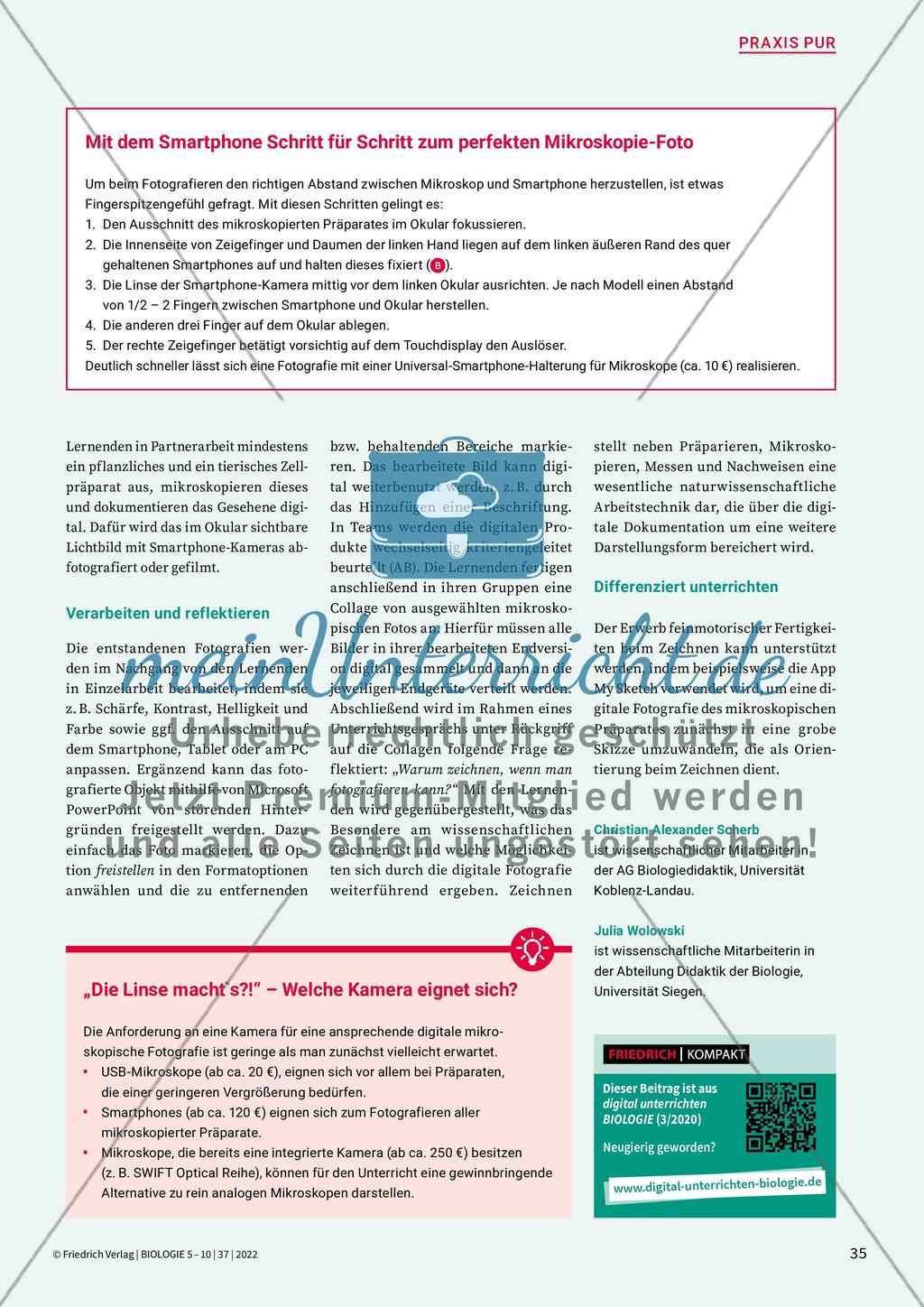 Information Preview 6