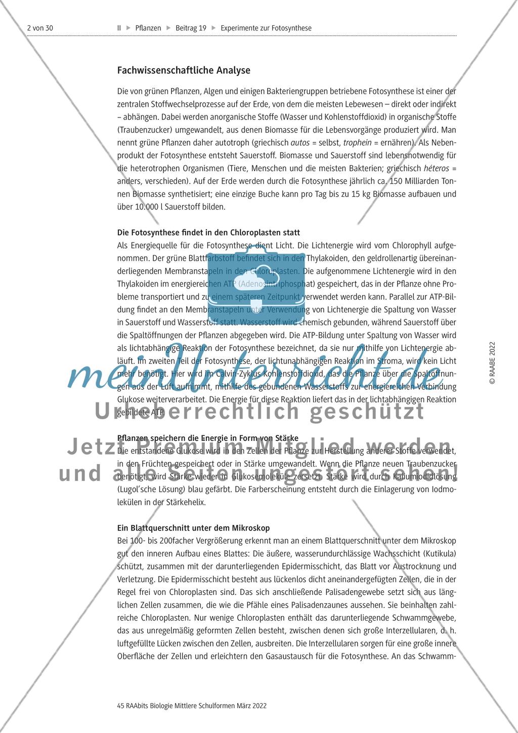 Einführung mit Zusatzmaterial Preview 2