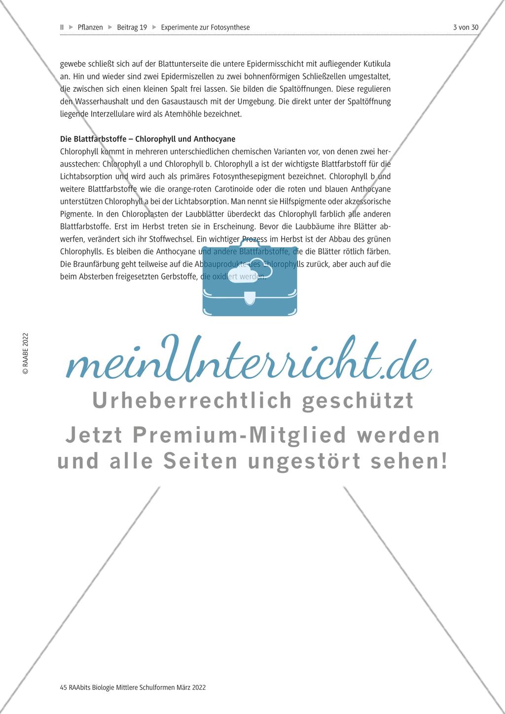 Einführung mit Zusatzmaterial Preview 3
