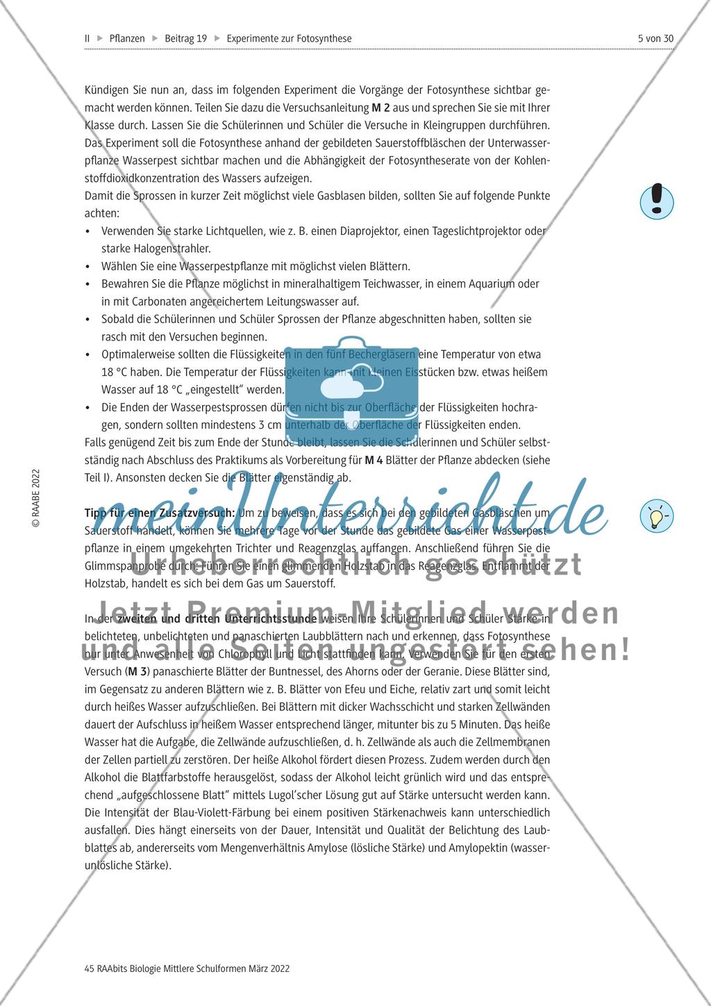 Einführung mit Zusatzmaterial Preview 5