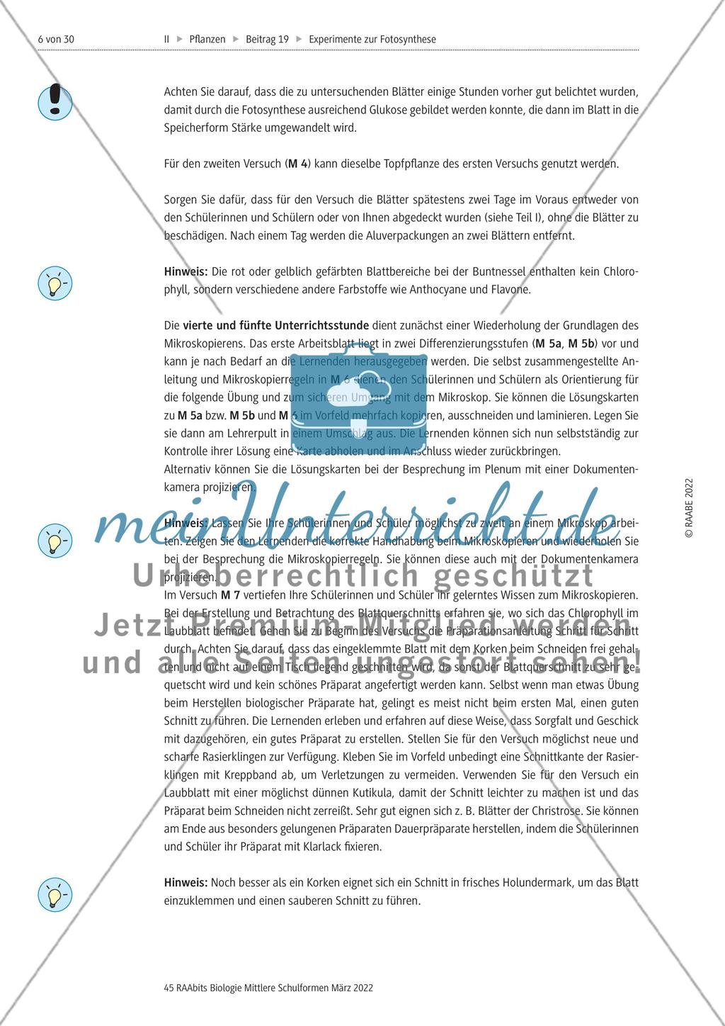 Einführung mit Zusatzmaterial Preview 6