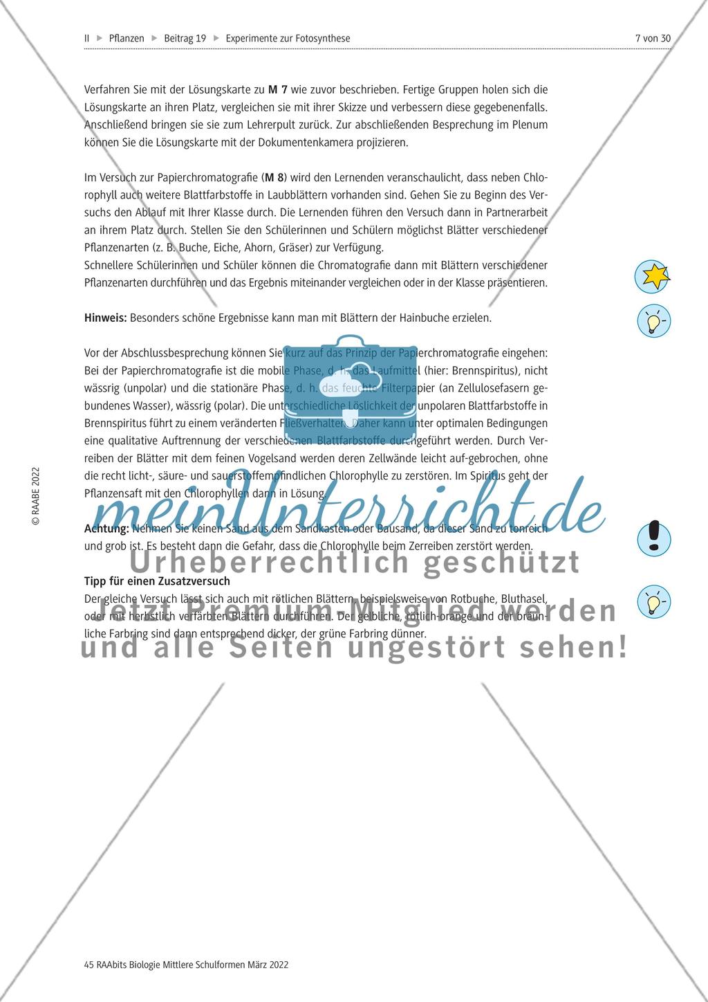 Einführung mit Zusatzmaterial Preview 7