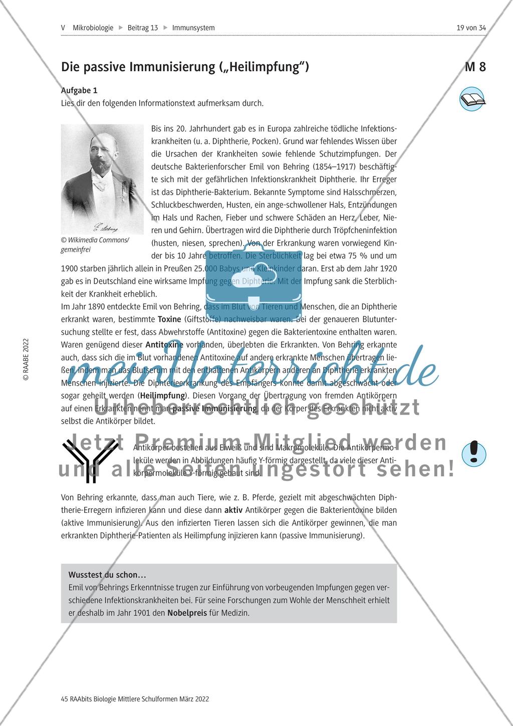 Das Immunsystem des Menschen - M8-M12 Preview 1