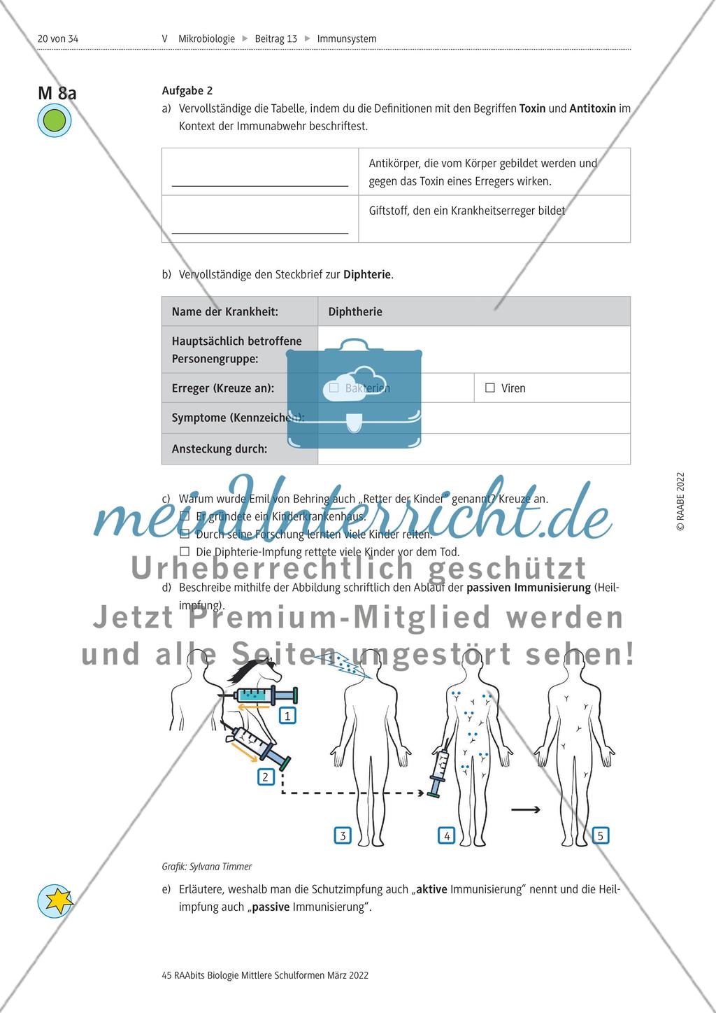 Das Immunsystem des Menschen - M8-M12 Preview 2