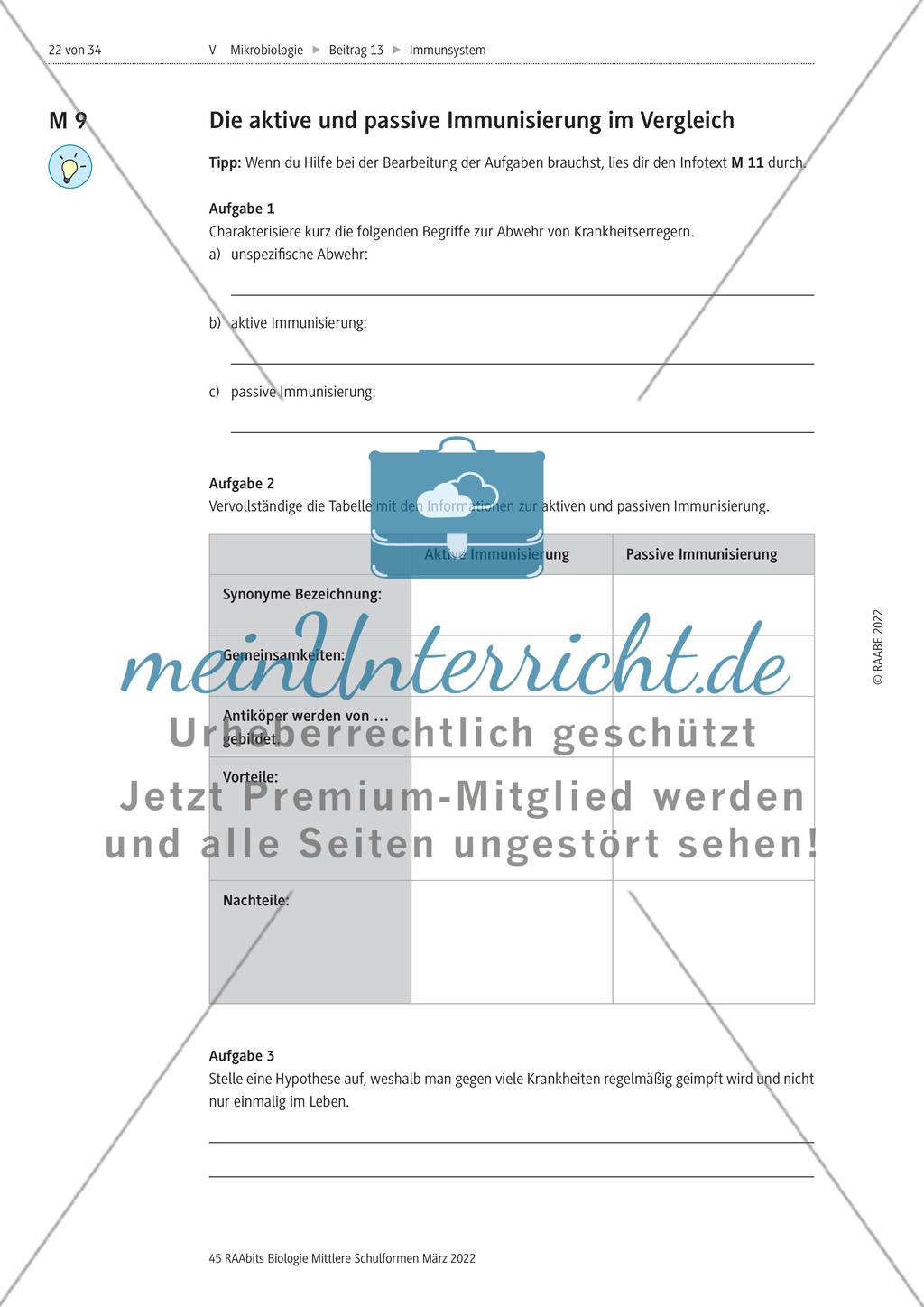 Das Immunsystem des Menschen - M8-M12 Preview 4
