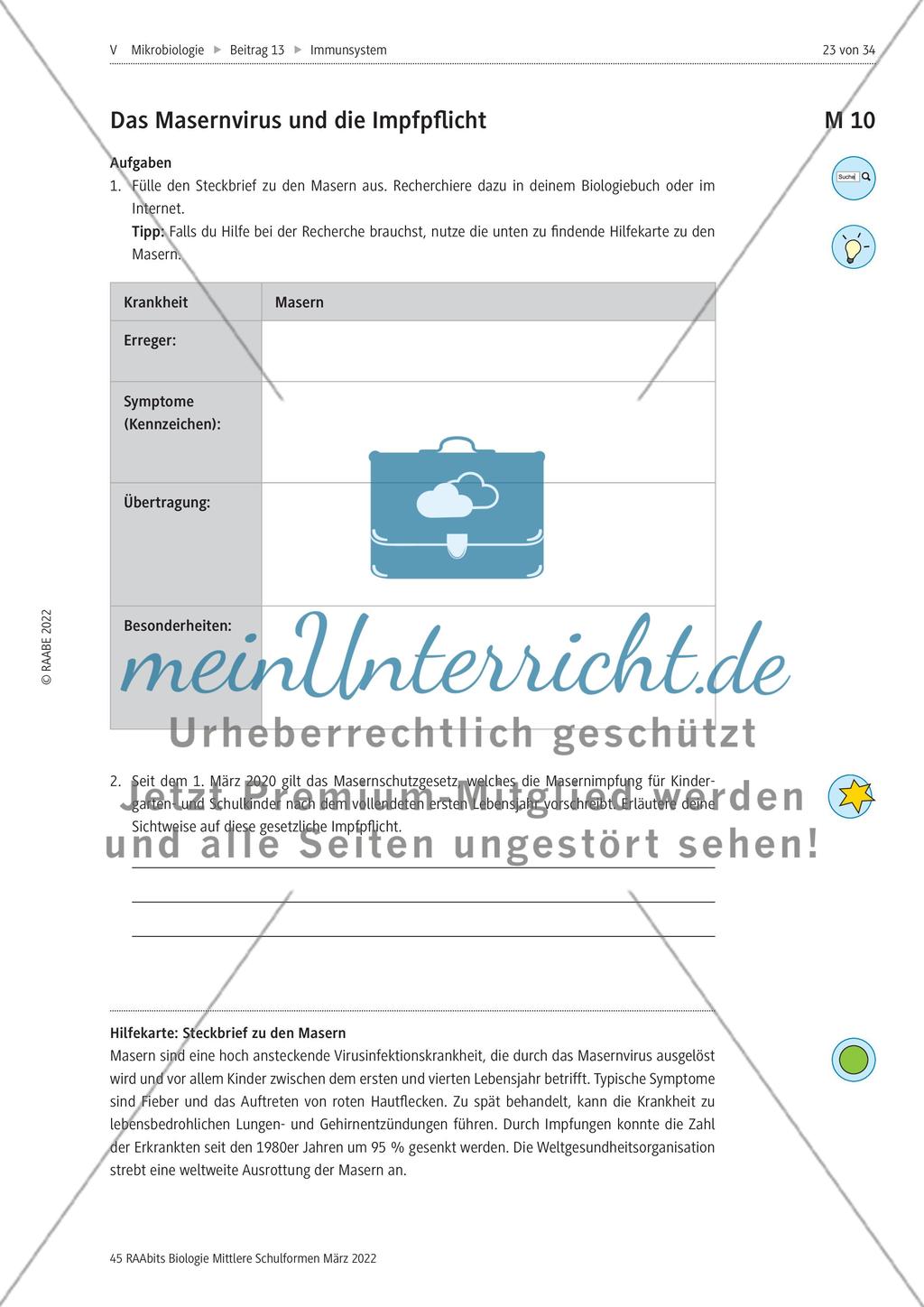 Das Immunsystem des Menschen - M8-M12 Preview 5