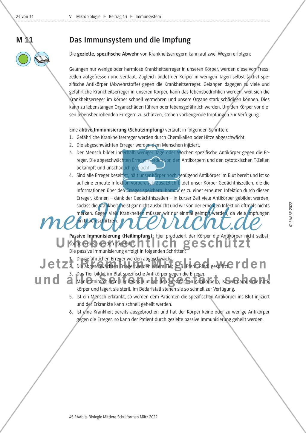 Das Immunsystem des Menschen - M8-M12 Preview 6