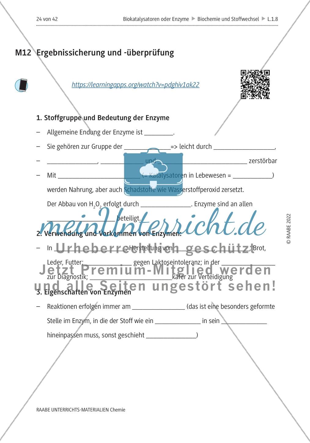 Biokatalysatoren oder Enzyme - M6-M12 Preview 11
