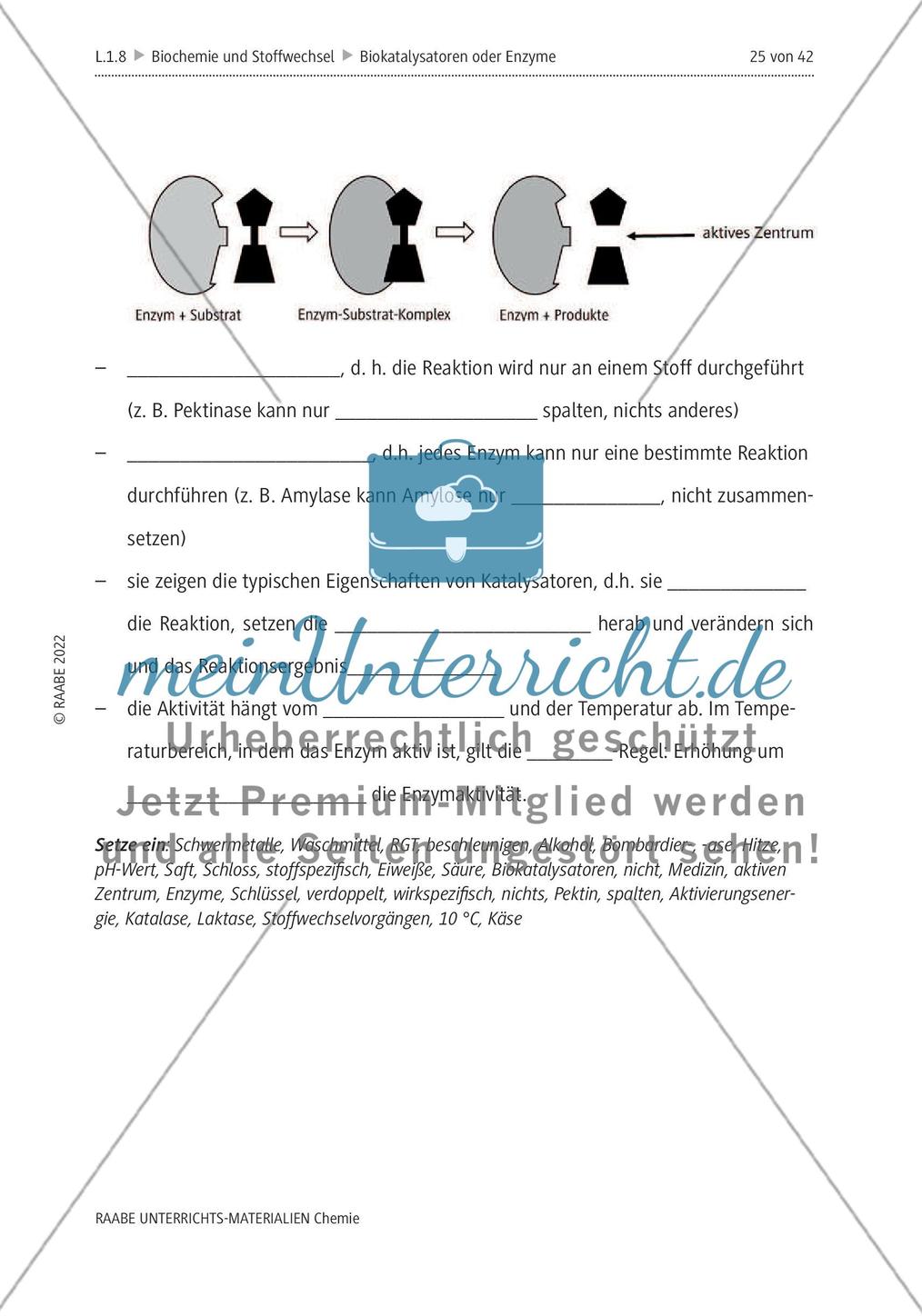 Biokatalysatoren oder Enzyme - M6-M12 Preview 12