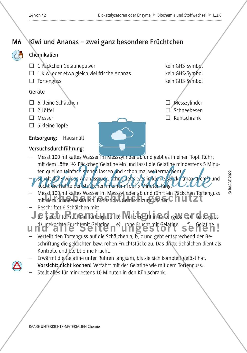 Biokatalysatoren oder Enzyme - M6-M12 Preview 1