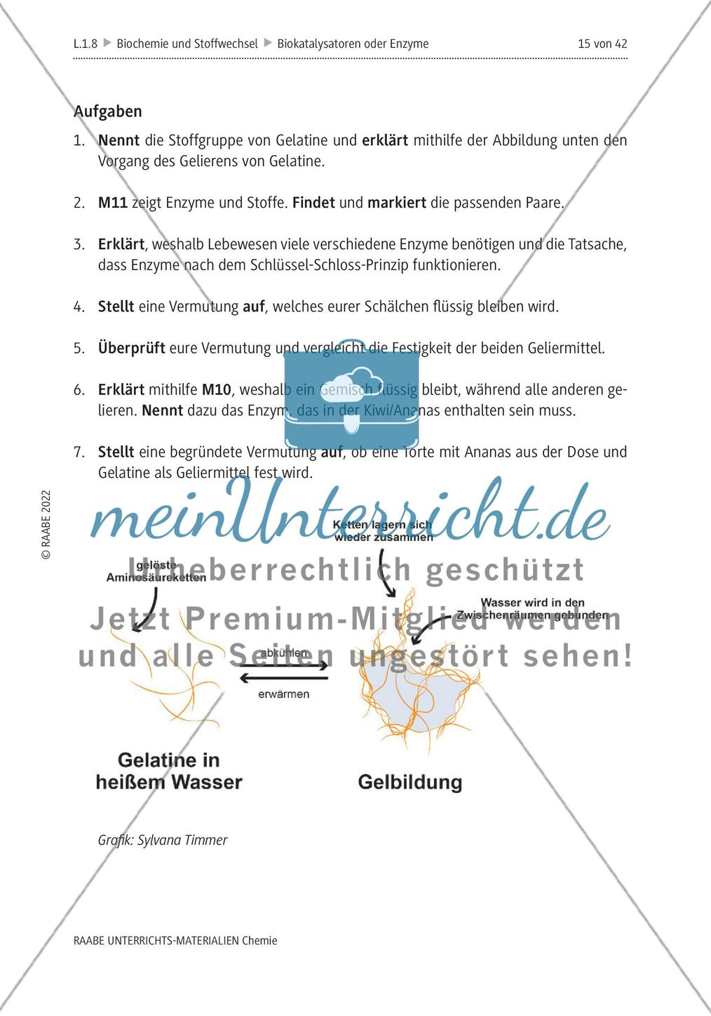 Biokatalysatoren oder Enzyme - M6-M12 Preview 2