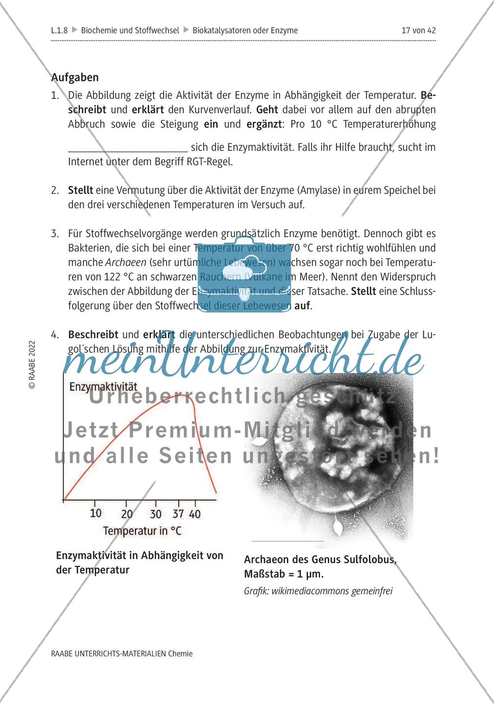 Biokatalysatoren oder Enzyme - M6-M12 Preview 4