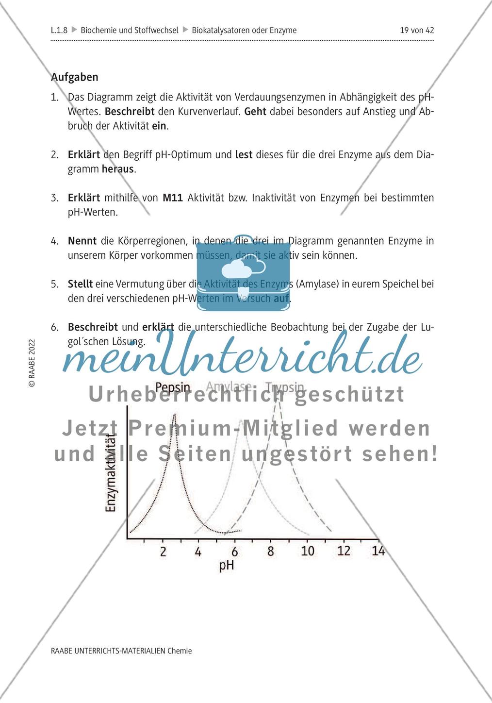 Biokatalysatoren oder Enzyme - M6-M12 Preview 6