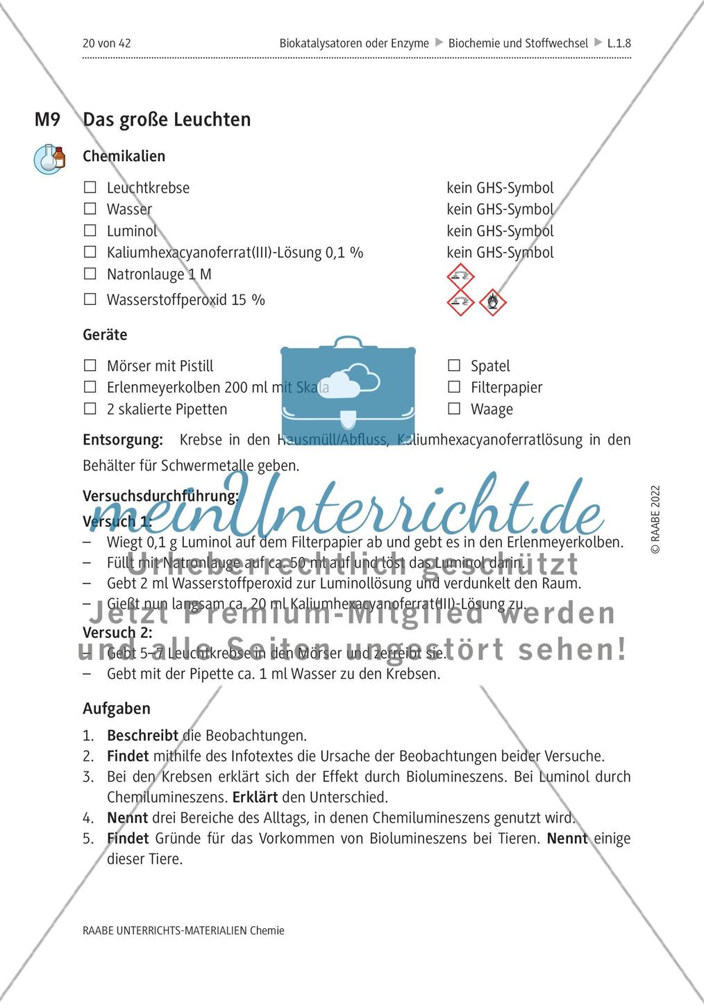 Biokatalysatoren oder Enzyme - M6-M12 Preview 7