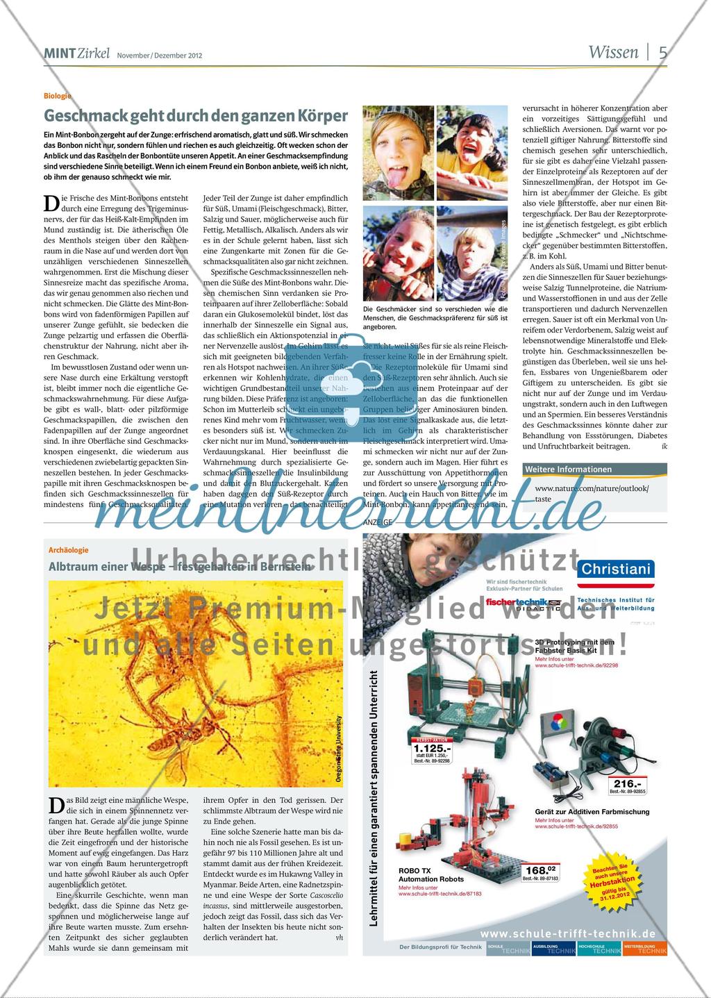 MINT Zirkel - Ausgabe 05, November/Dezember 2012 Preview 5
