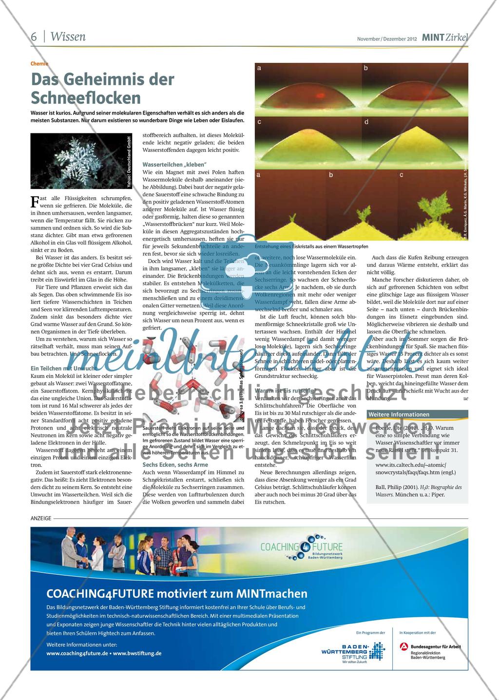 MINT Zirkel - Ausgabe 05, November/Dezember 2012 Preview 6