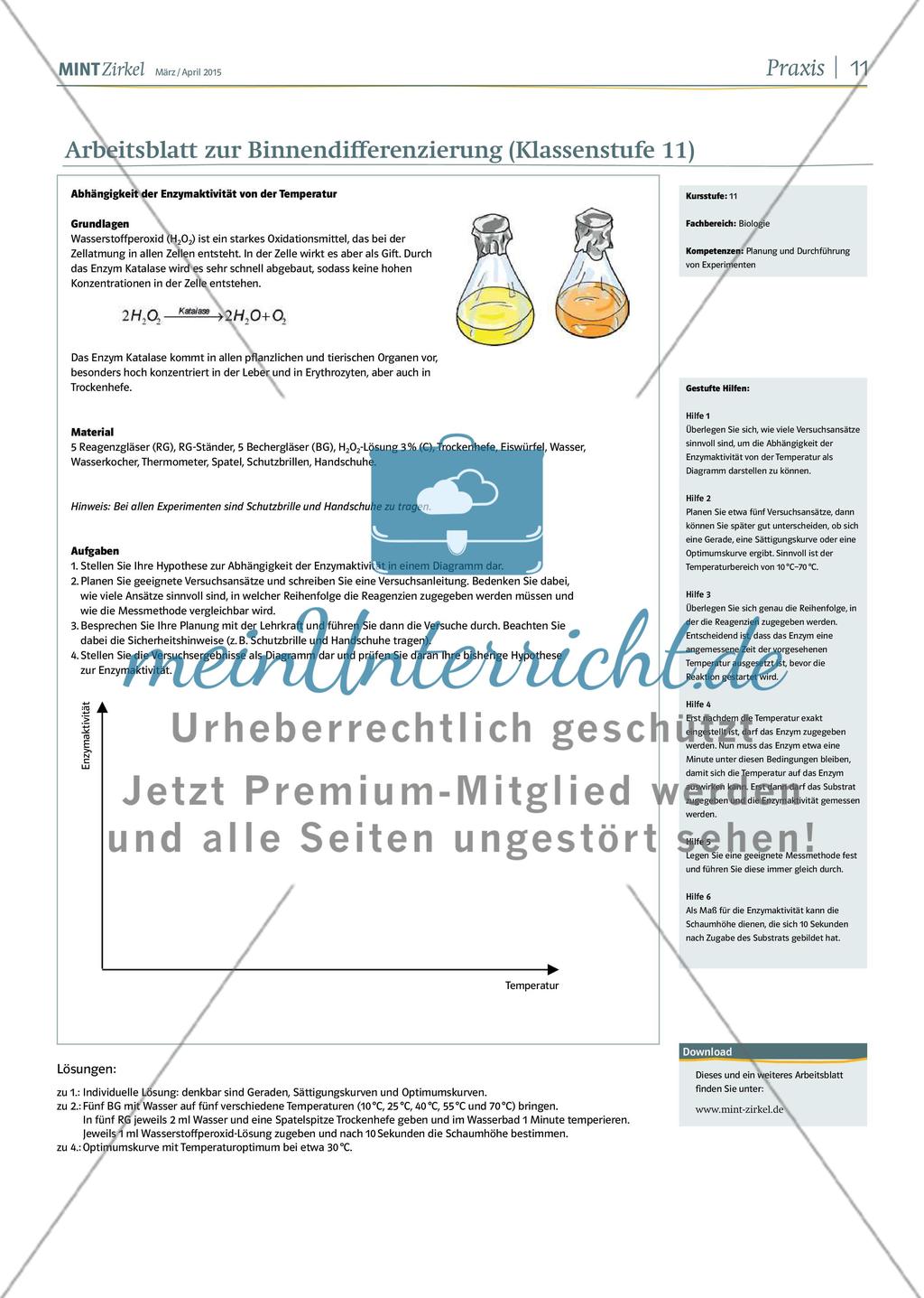 MINT Zirkel - Ausgabe 02, März/April 2015 Preview 11