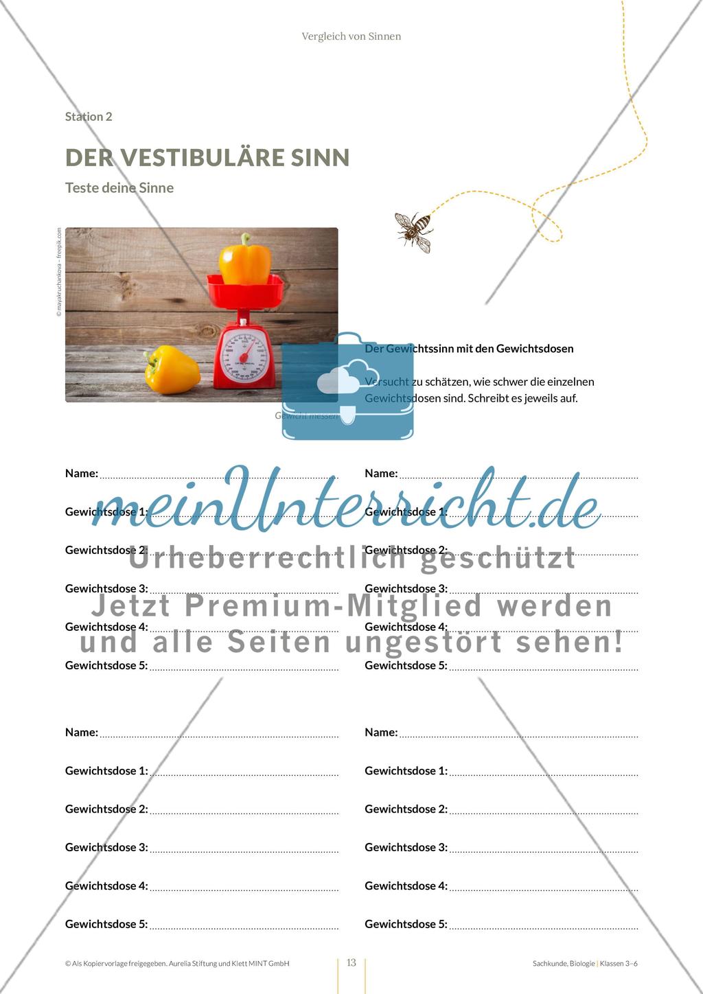 Vergleich von Sinnen Preview 13