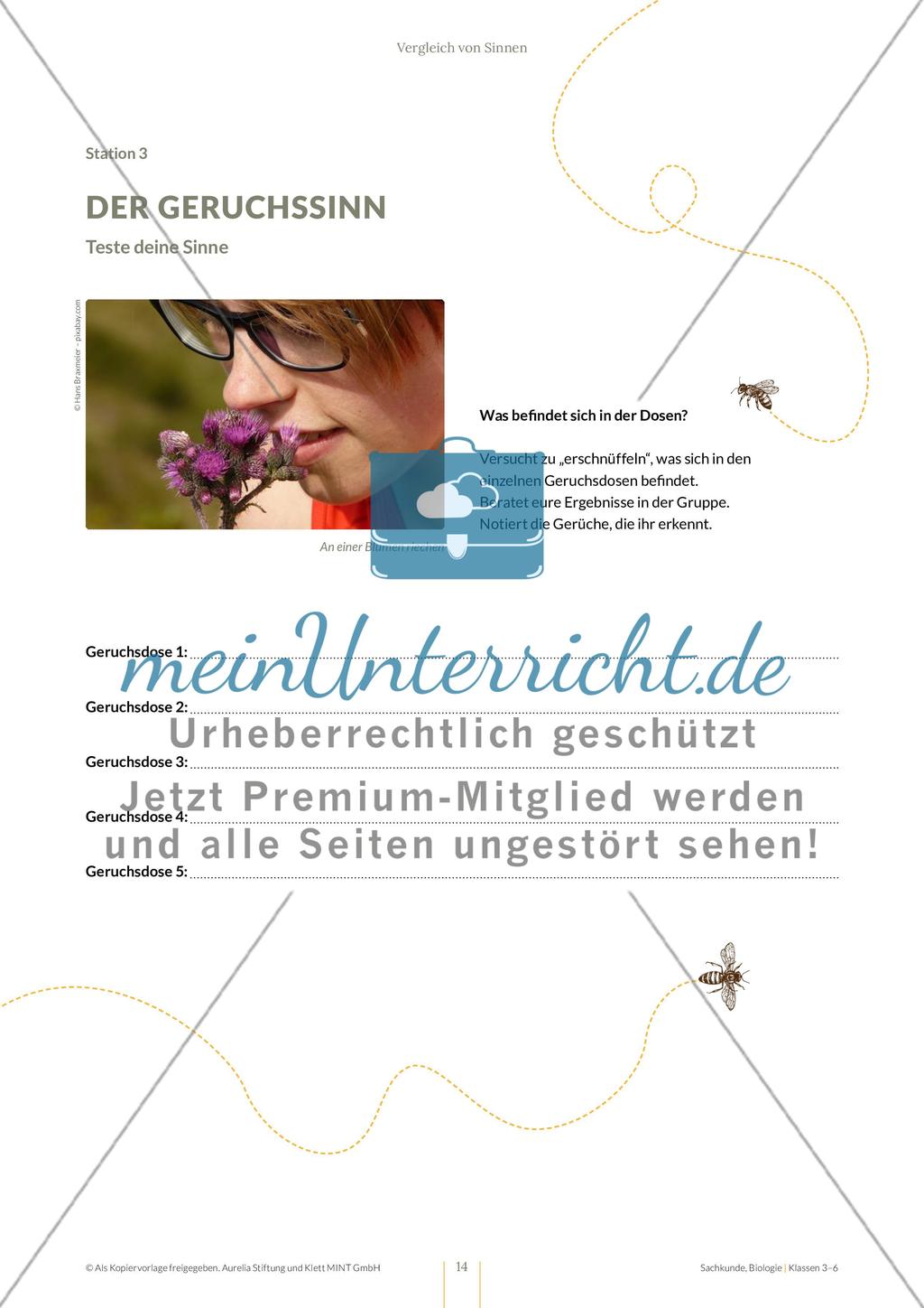 Vergleich von Sinnen Preview 14