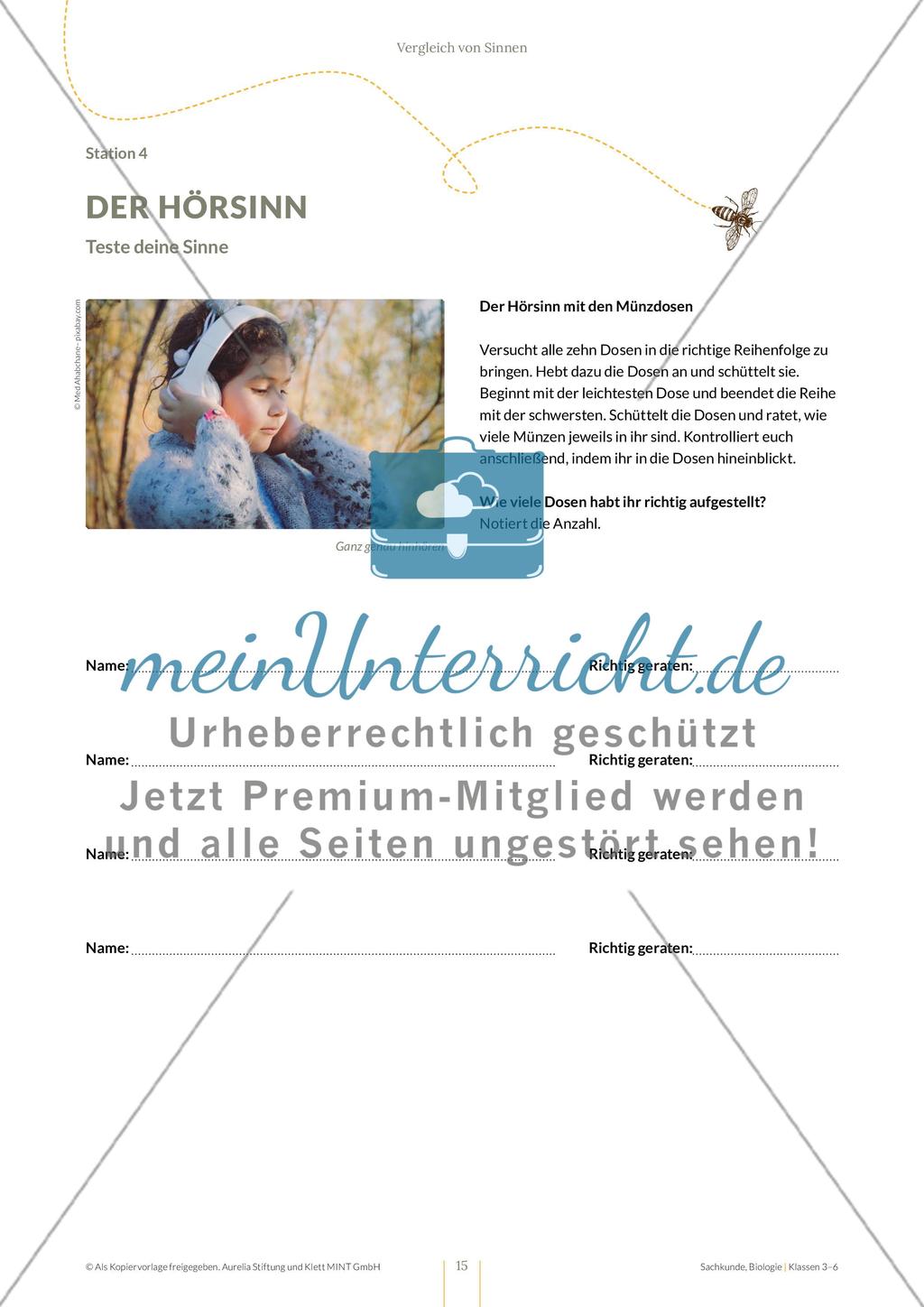 Vergleich von Sinnen Preview 15