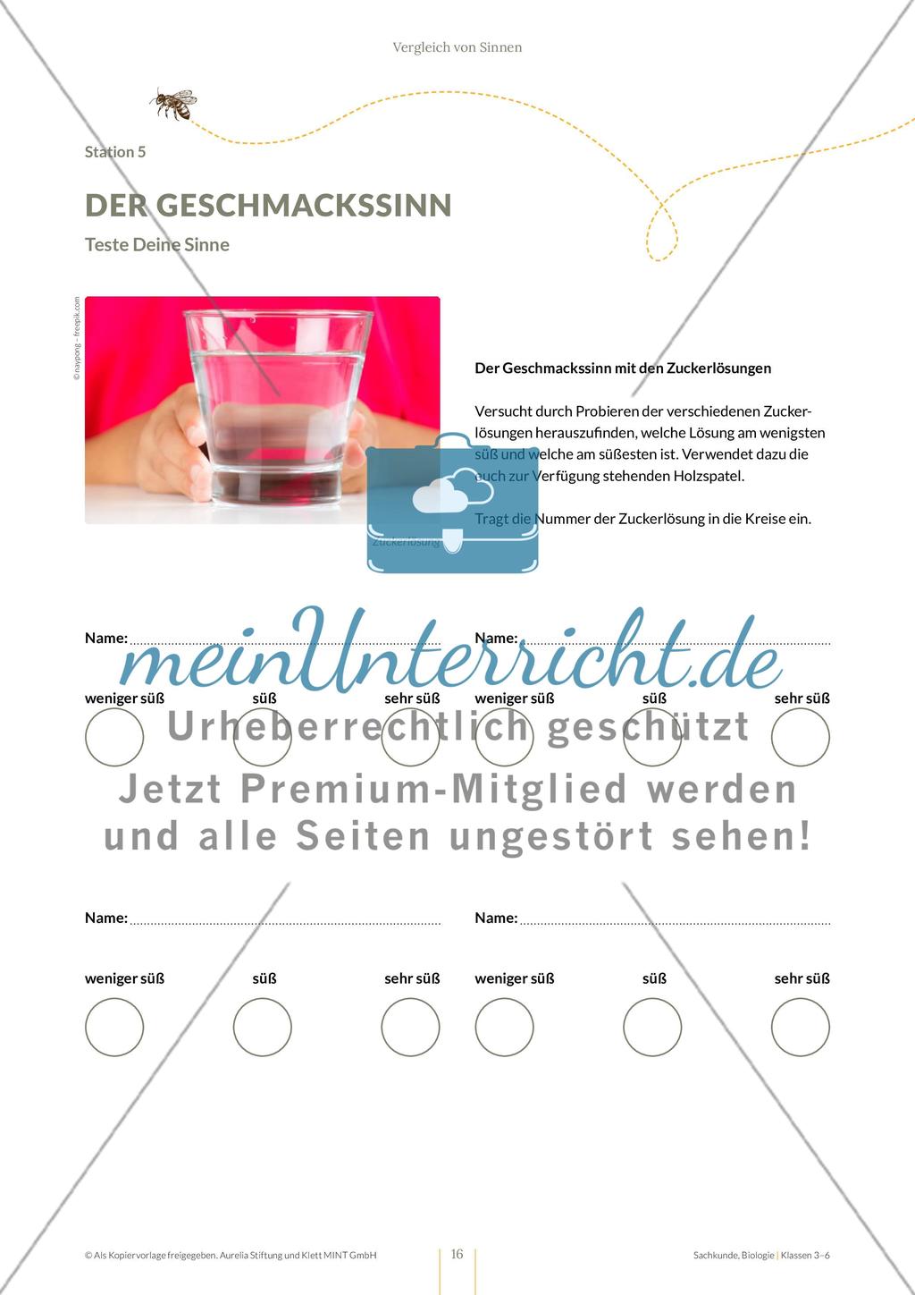 Vergleich von Sinnen Preview 16
