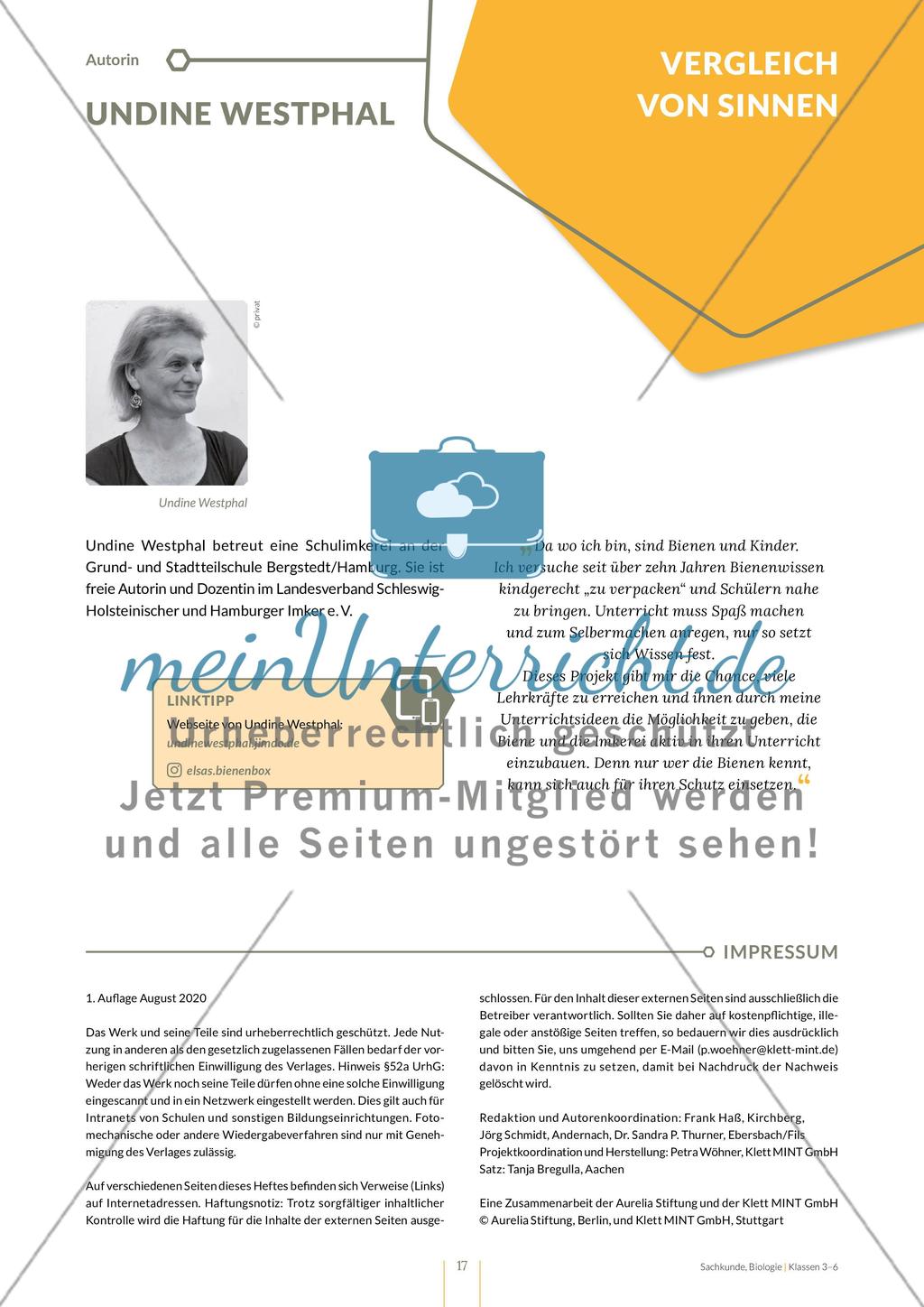 Vergleich von Sinnen Preview 17