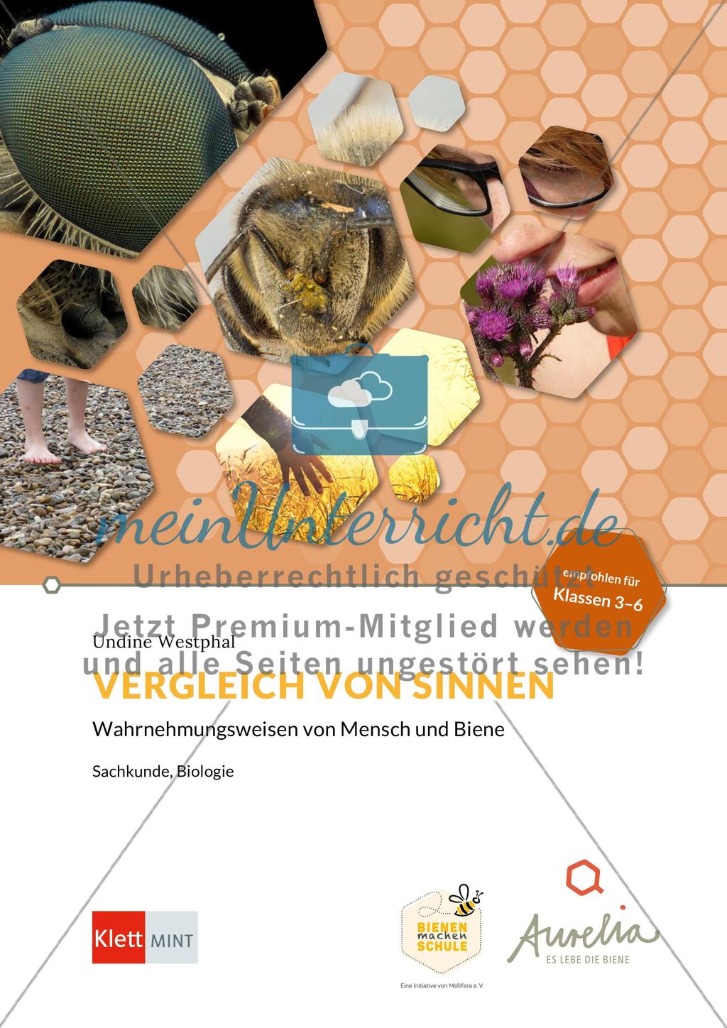 Vergleich von Sinnen Preview 1