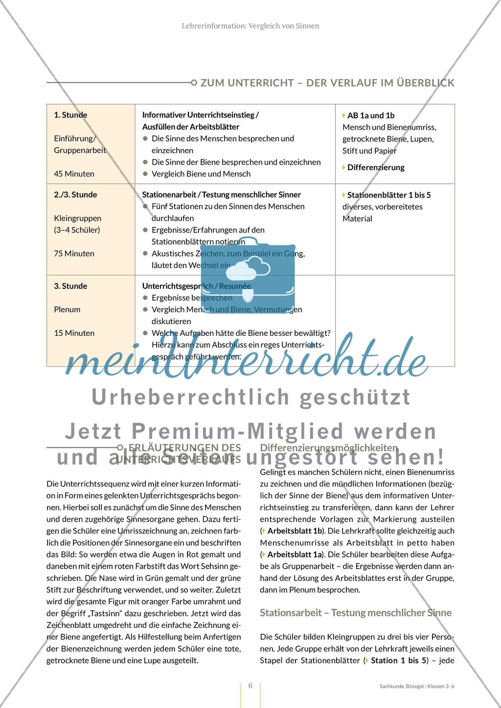 Vergleich von Sinnen Preview 6