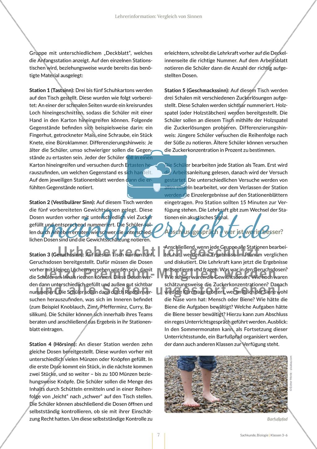 Vergleich von Sinnen Preview 7