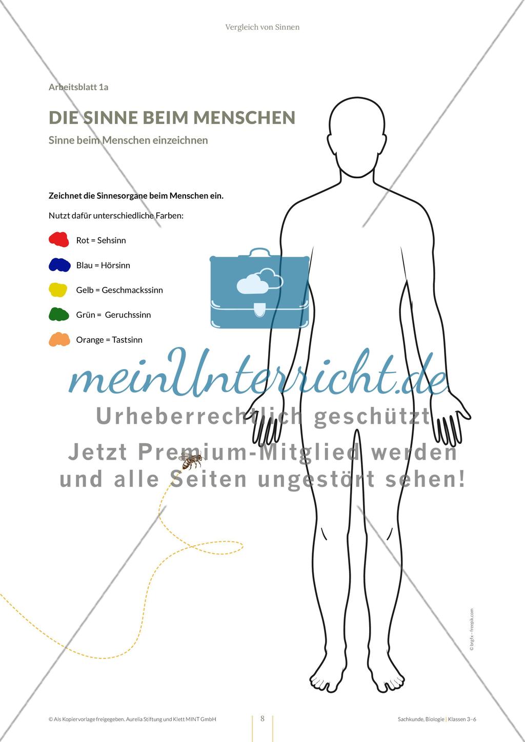 Vergleich von Sinnen Preview 8