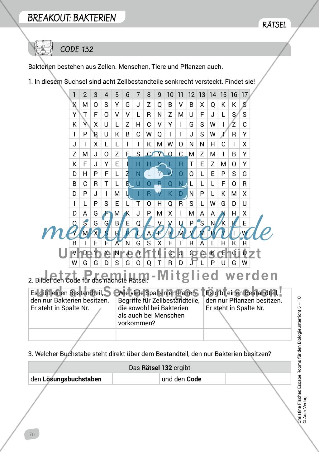 Breakout: Bakterien Preview 11