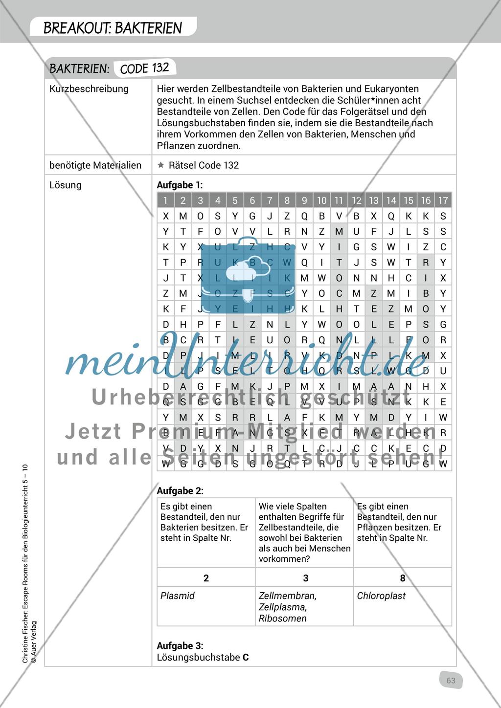 Breakout: Bakterien Preview 4