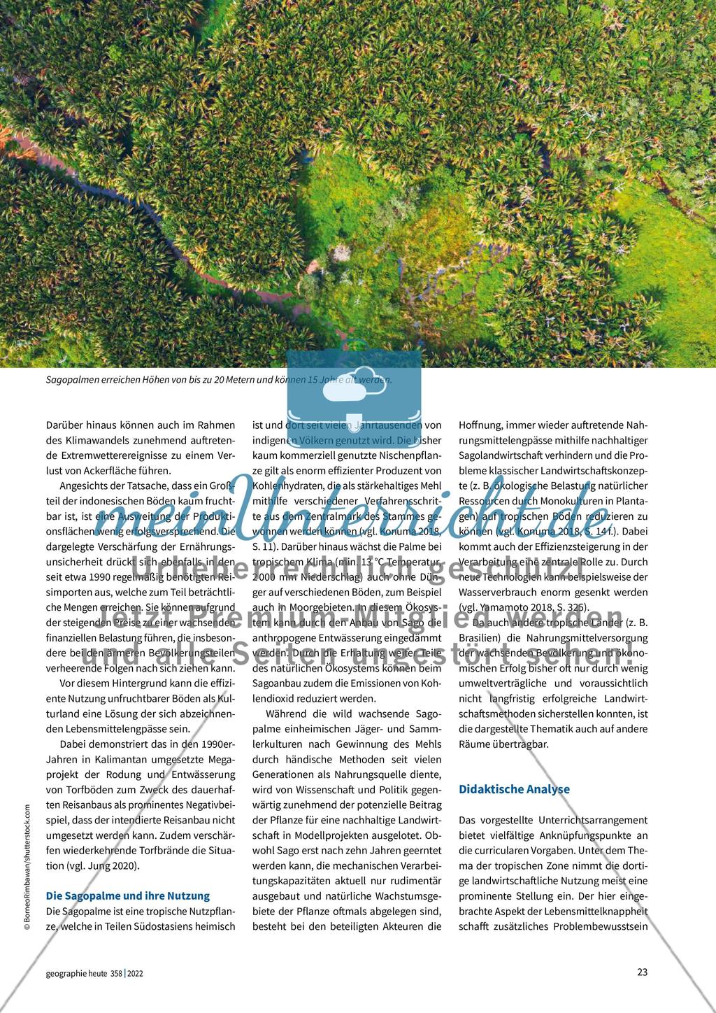 Die Sagopalme in Indonesien Preview 2