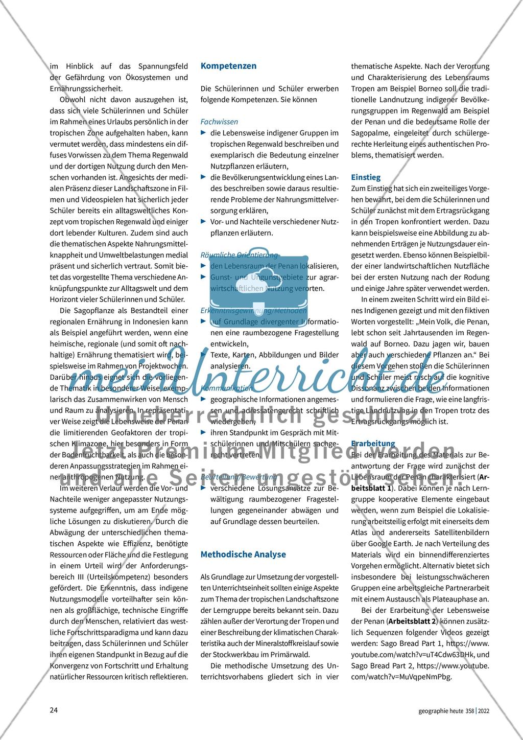 Die Sagopalme in Indonesien Preview 3