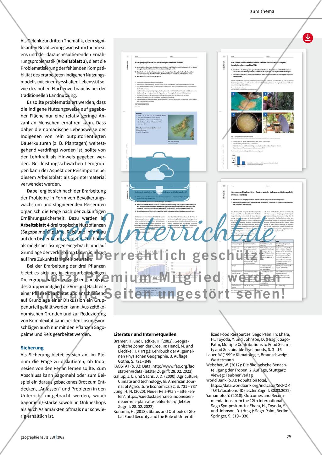 Die Sagopalme in Indonesien Preview 4