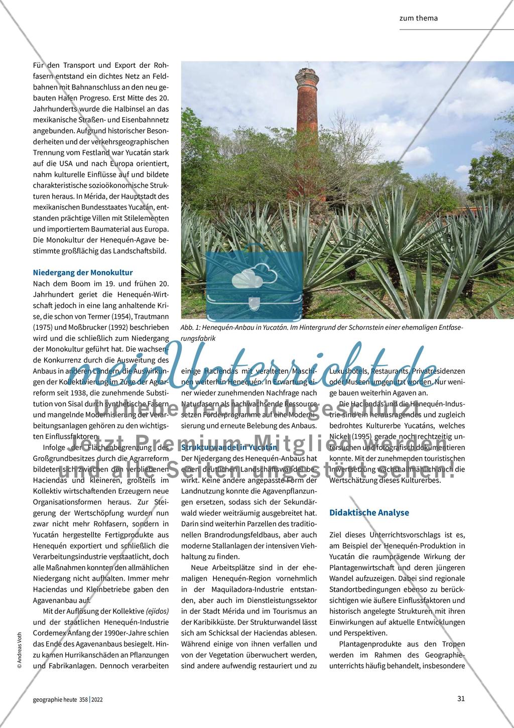 Produktion von Agavenfasern im Wandel Preview 2