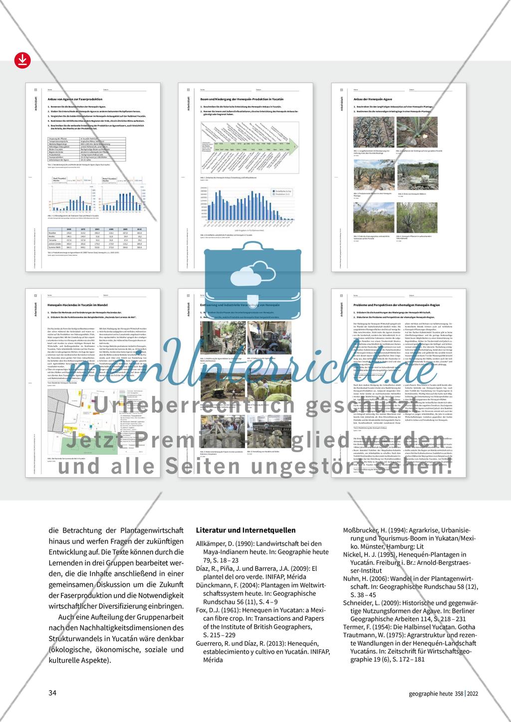 Produktion von Agavenfasern im Wandel Preview 5