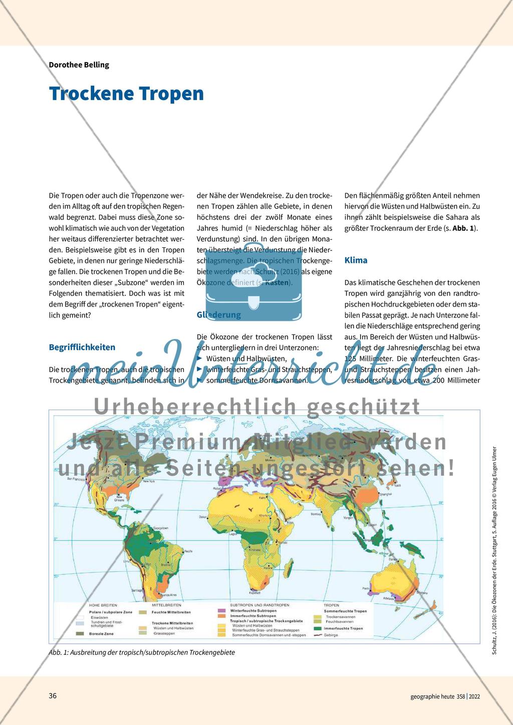 Trockene Tropen Preview 1