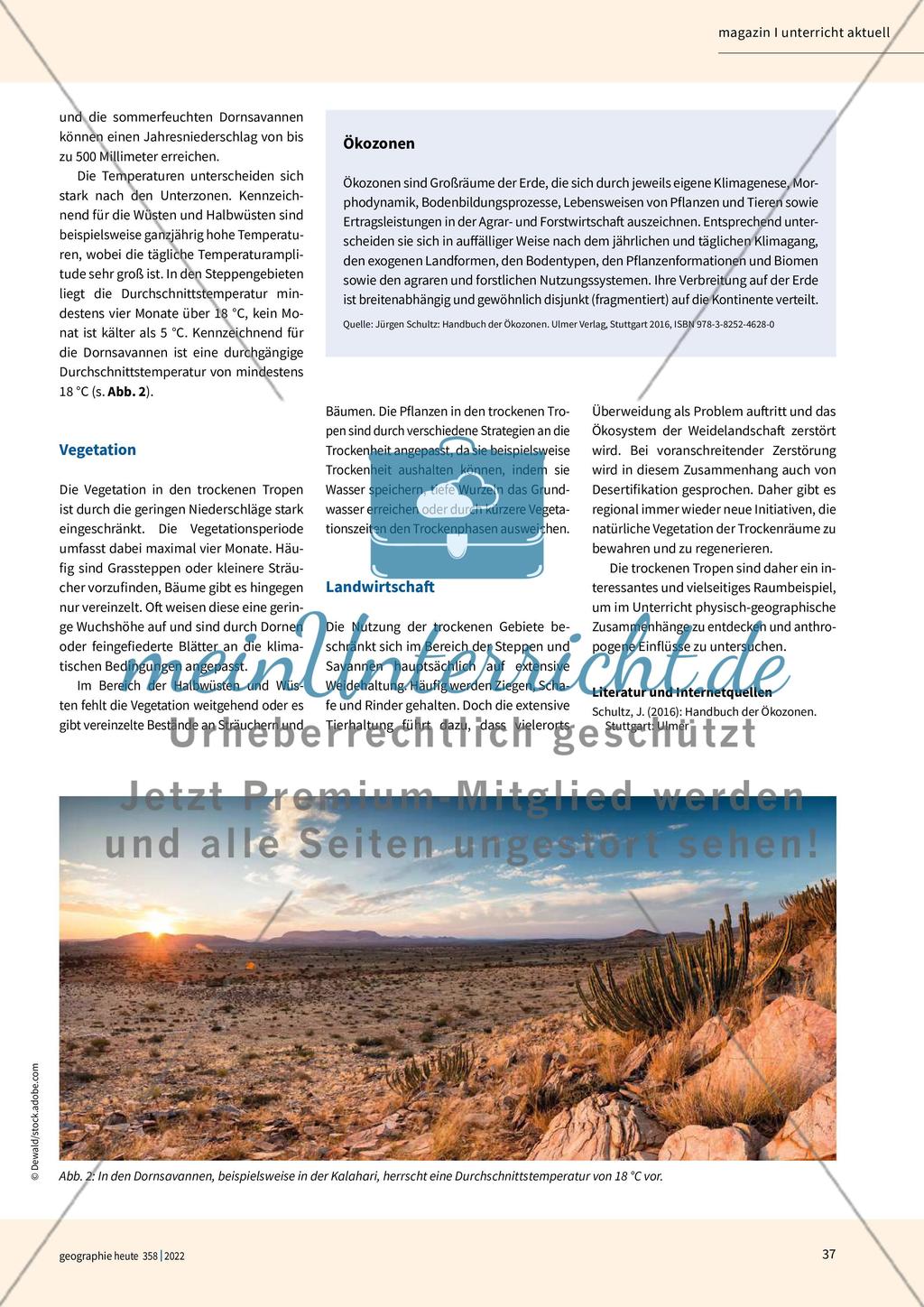 Trockene Tropen Preview 2