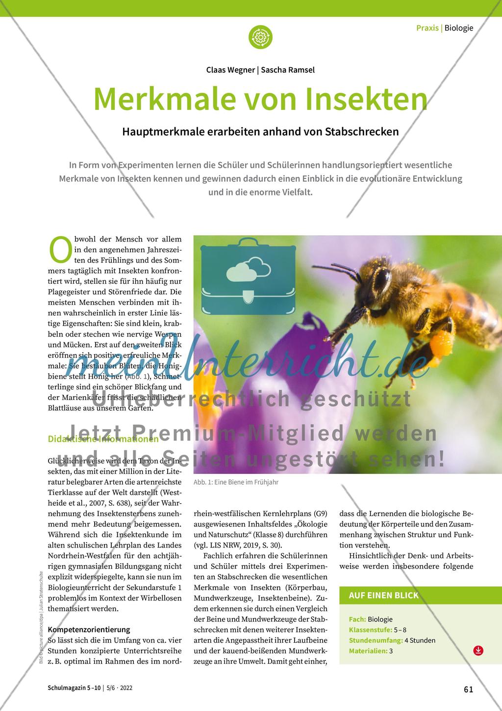 Merkmale von Insekten Preview 1