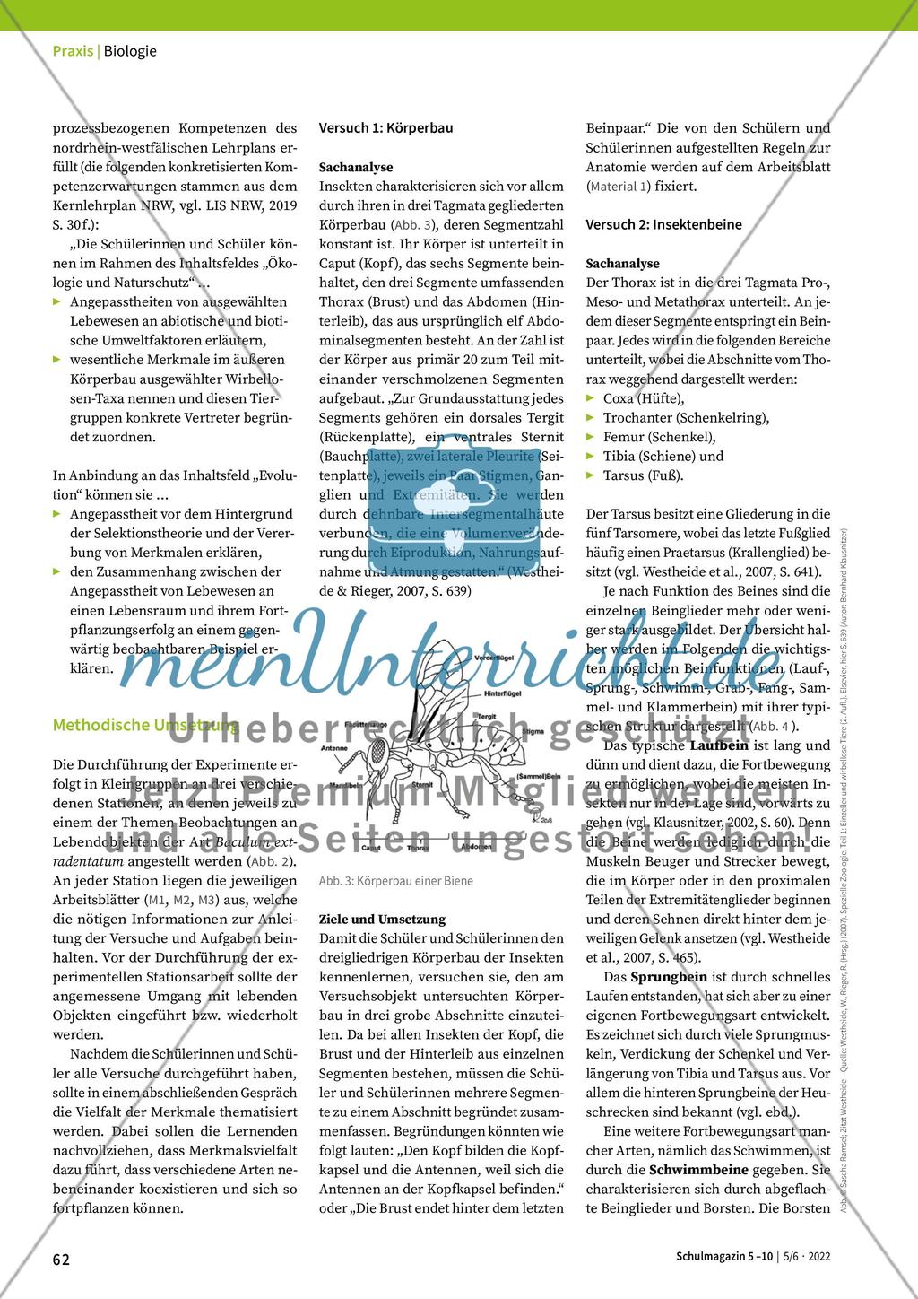 Merkmale von Insekten Preview 2