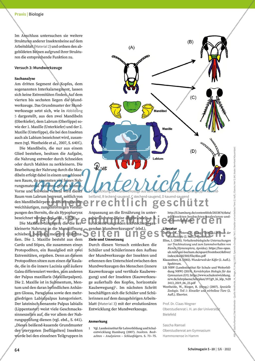 Merkmale von Insekten Preview 4
