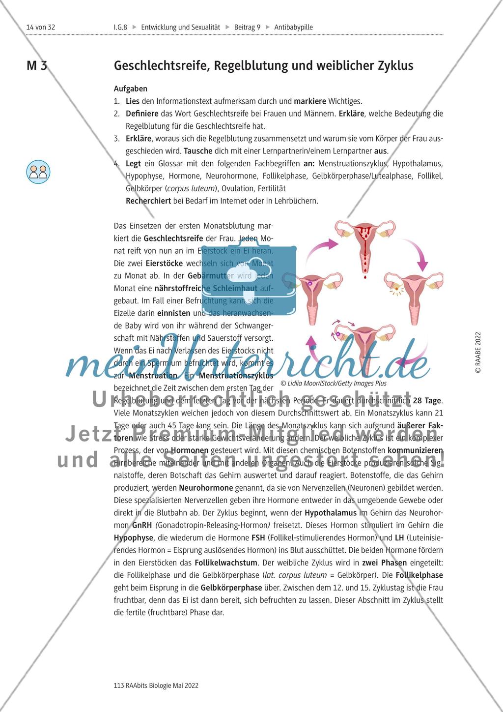 Die Antibabypille - M3-M5 Preview 1
