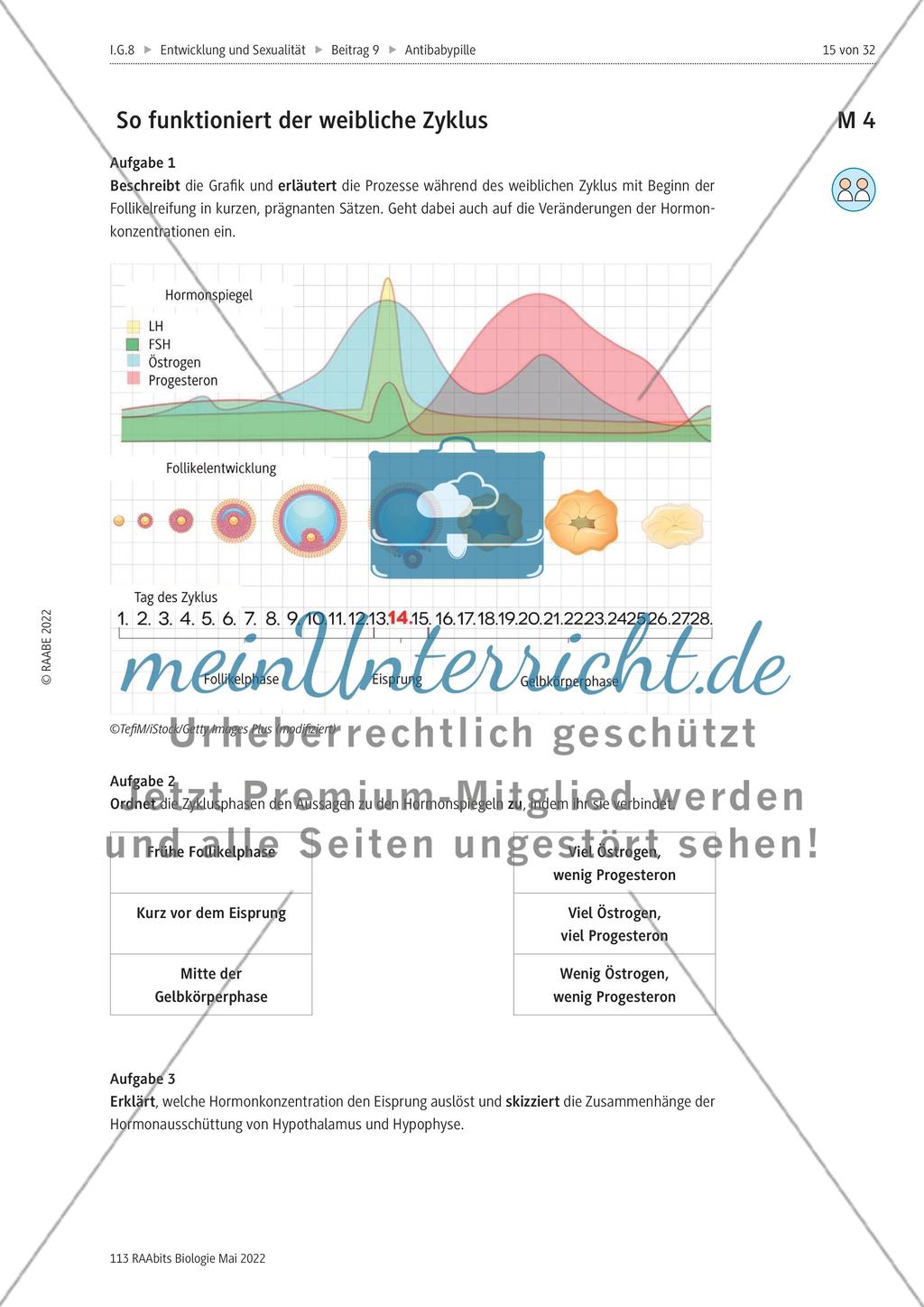 Die Antibabypille - M3-M5 Preview 2